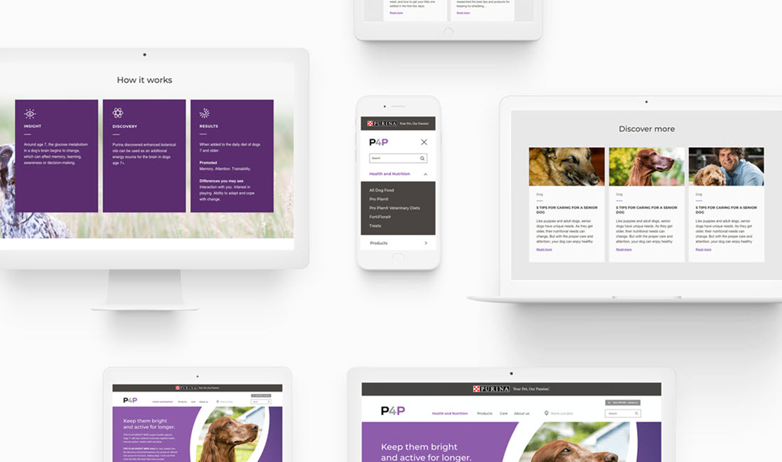 Purina screenshot