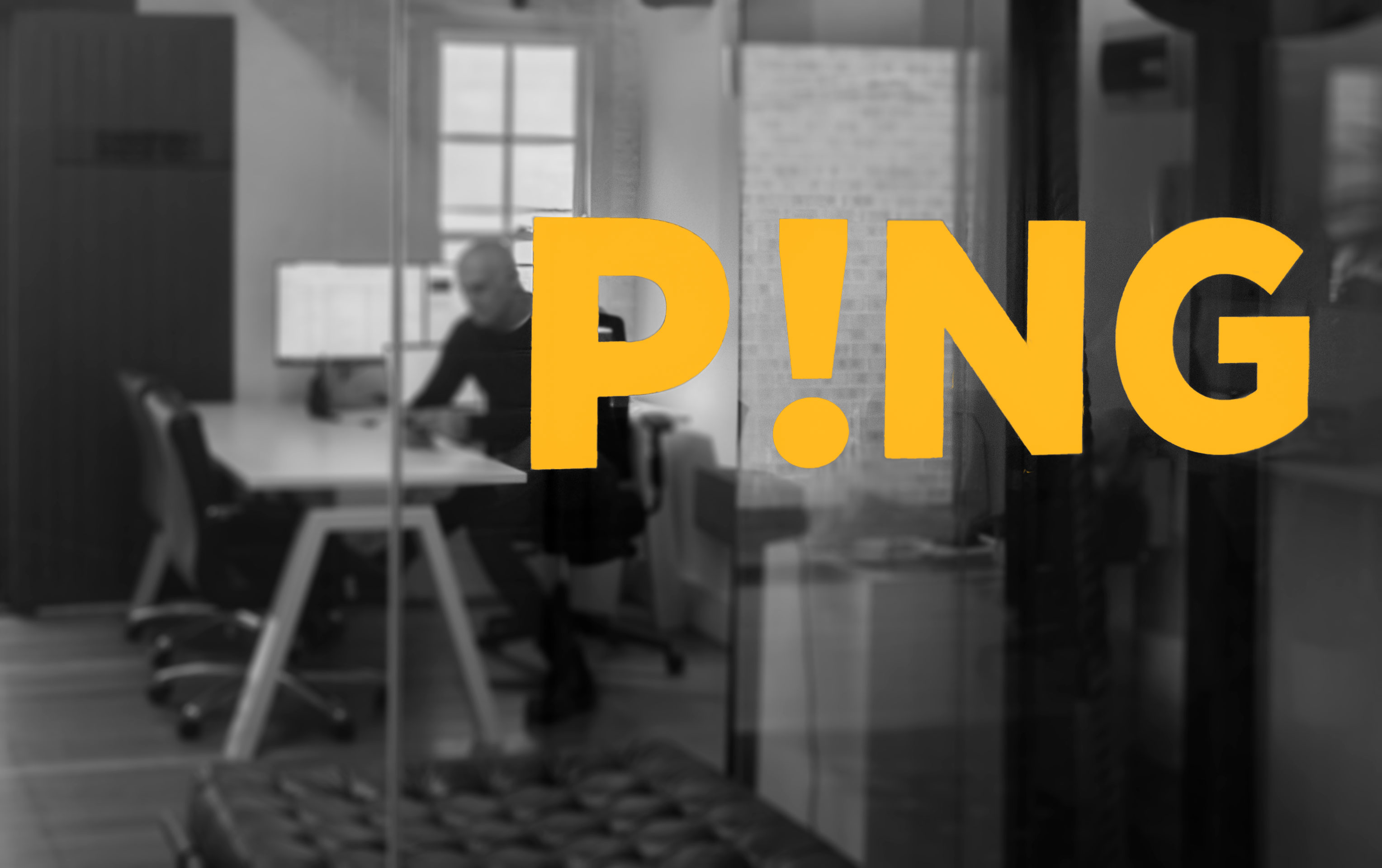 PING Project Management 
